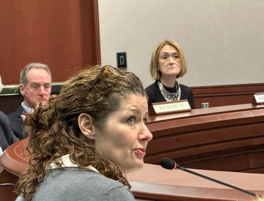 Commissioner Katie Dykes at an energy committee hearing. At right, Rep. Holly Cheeseman.