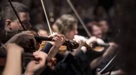 Violinists playing in a row.