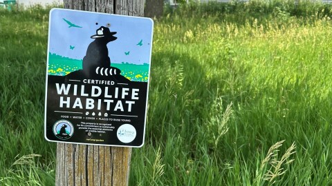 A Certified Wildlife Habitat sign sits on a fence post outside of IWF Executive Director Ryan Smith's house.