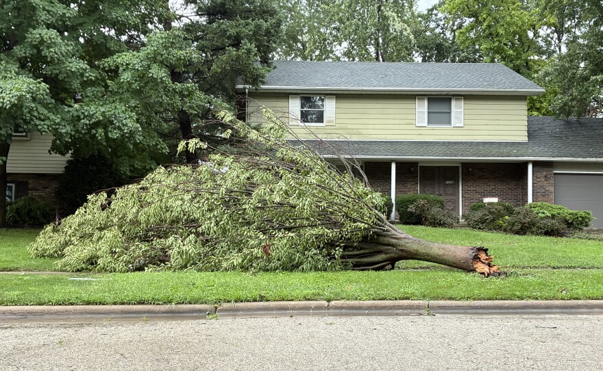 A downed tree rests across the lawn in front of a house with brick on the first floor and green siding on the second level.  