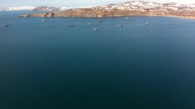 Togiak herring tenders in May 2013. (Thorey Munro/KDLG)