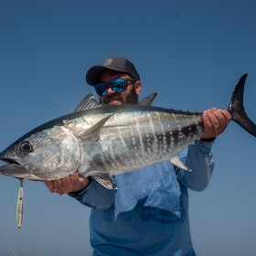 Bluefin can range from smaller fish, like this, to 1000 lbs or more.