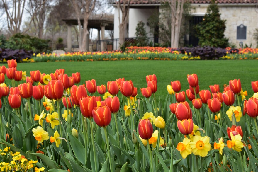 Photo: Dallas Arboretum