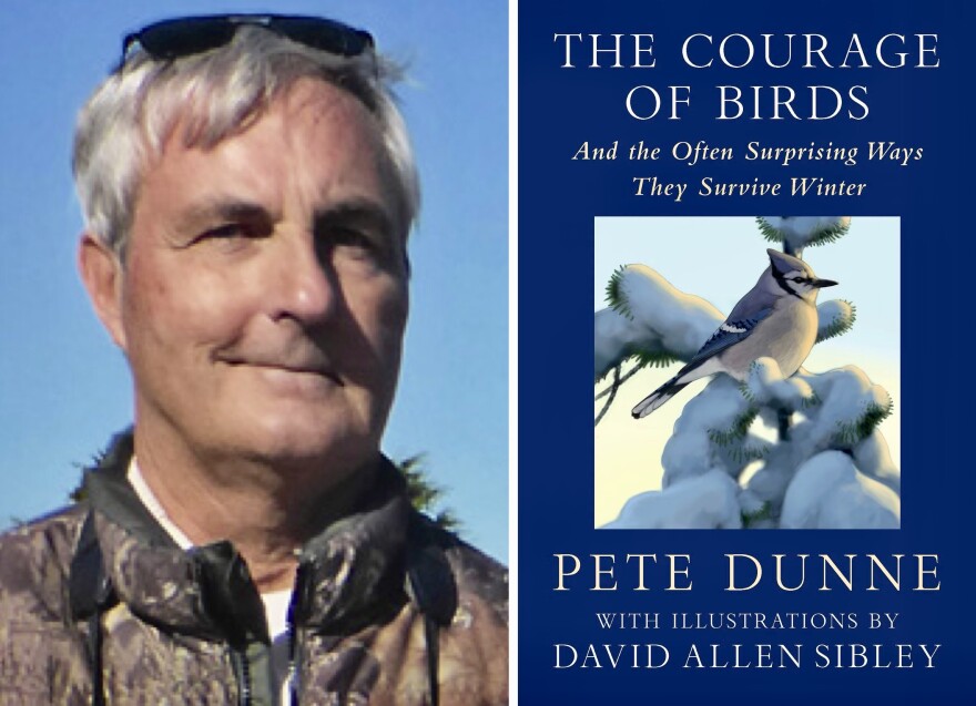 Pete Dunne author of "The Courage of Birds: And the Often Surprising Ways They Survive."