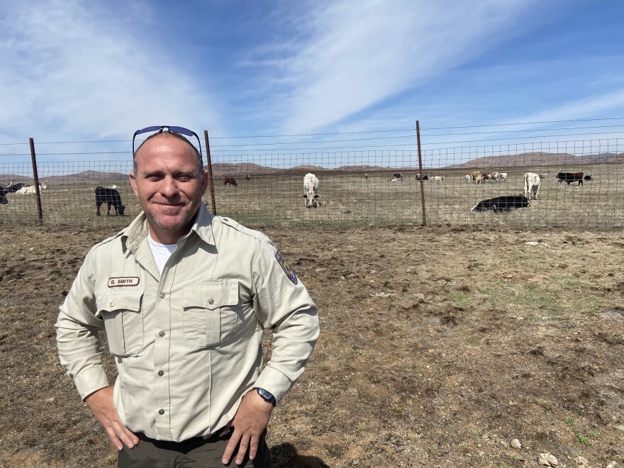 Quinton Smith with some of the Wichita Mountains Wildlife Refuge's Texas Longhorns
