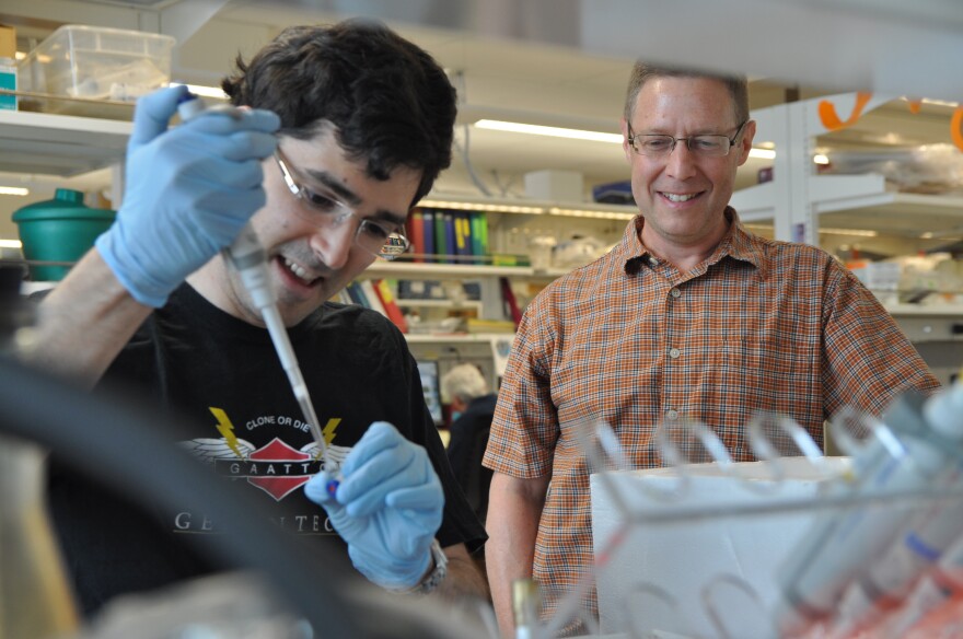 Geneticist Michael White, right, visits with postdoctoral researcher Max Staller as he prepares samples in the lab. White is waiting to hear if the NIH will fund a proposal to start his own lab.