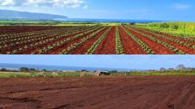 The Pacific Gateway Haleʻiwa Farm before and after the Kona low storms last month. The farm suffered roughly $100,000 in crop damage.