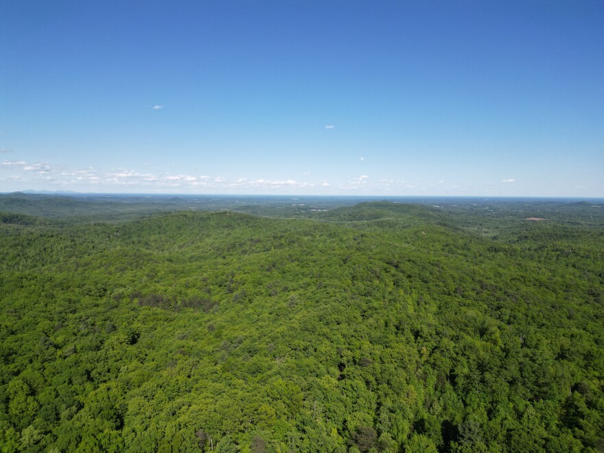 Over 1,100 acres of land in the eastern Brushy Mountains will be protected thanks to a collaborative conservation effort. Photo courtesy Blue Ridge Conservancy.