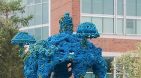"Tangle" is a 2024 installation at the University of Southern Maine Portland Campus by environmental artist Posey, whose recent work uses discarded fishing gear. Posey has been tapped to do a 2027 project for display in Lewes.