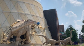 The Children's Museum reopens will reopen to the public on Saturday while following CDC guidelines to keep the public safe.