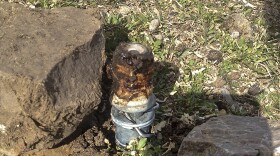This photo shows an M-44 cyanide device in Pocatello, Idaho.