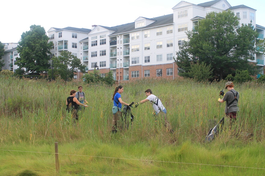 Volunteers with SoundWaters help clean a salt marsh in Boccuzzi Park — Stamford, Conn.