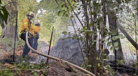 Eugene Springfield Fire says a car that started in compost spread to nearby trees