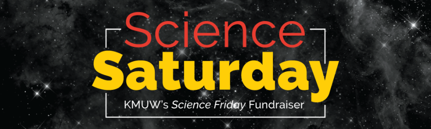 sci-sat-header.png