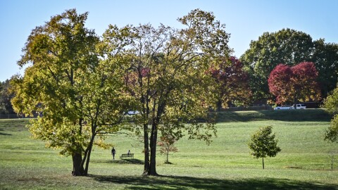 A large grassy area is shown with several large and small trees placed around it. Long shadows indicate it's late afternoon. There is one small silhouette of a man standing near a park bench.