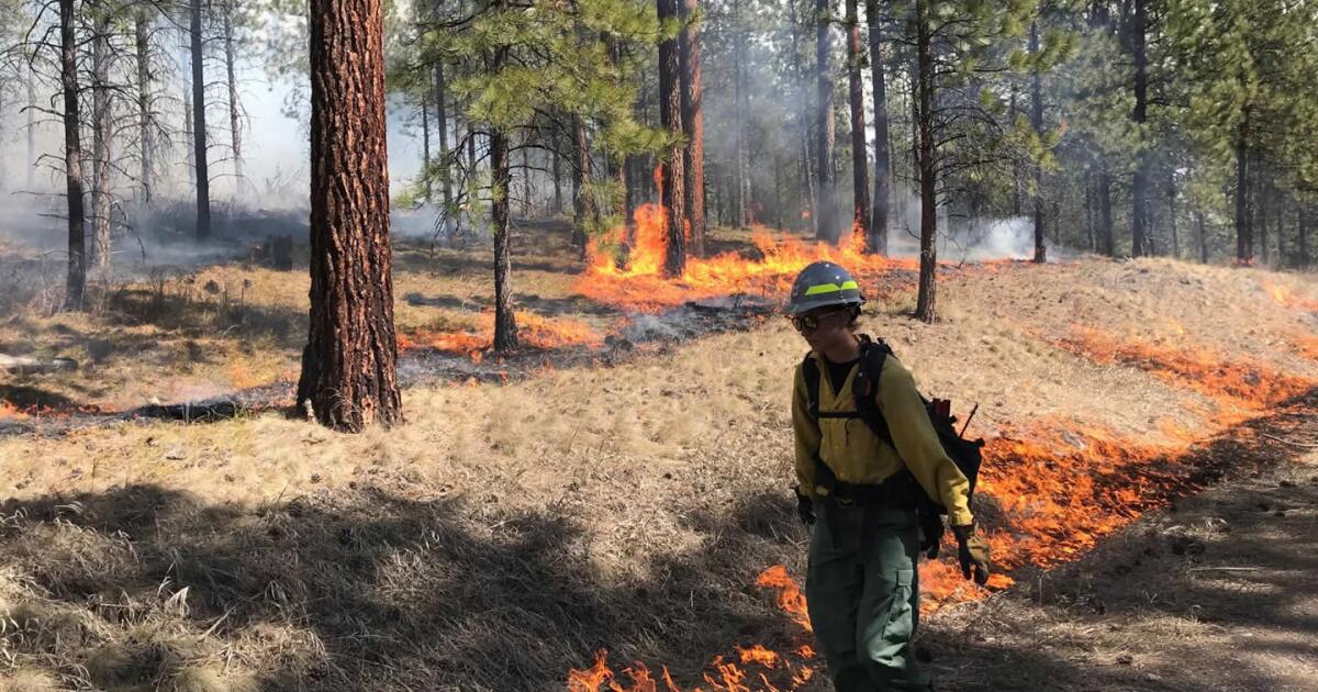 U.S. Forest Service earmarks $9 million for wildfire mitigation ...