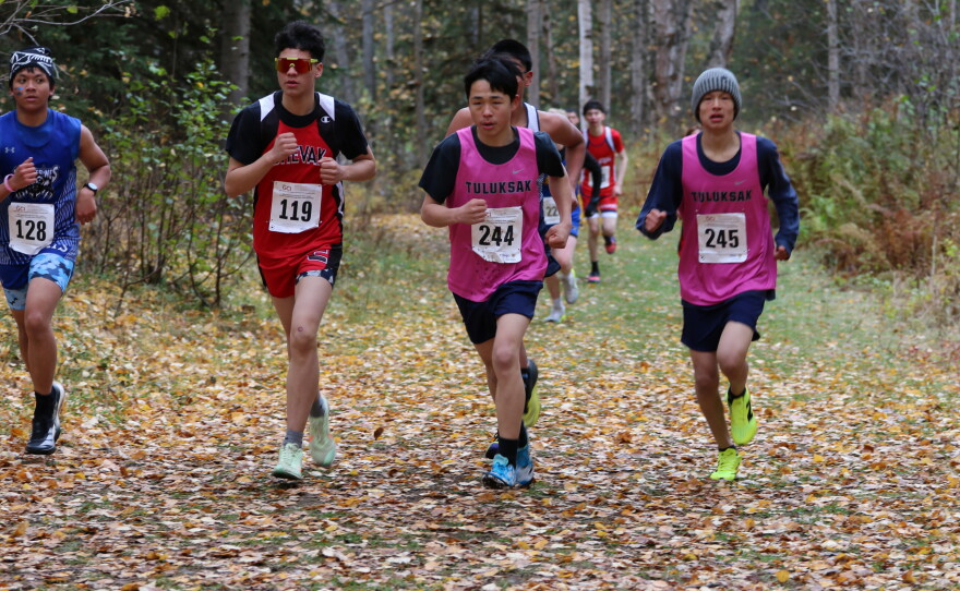Runners compete at the ASAA cross-country running state championships in Anchorage on Oct. 3, 2026.