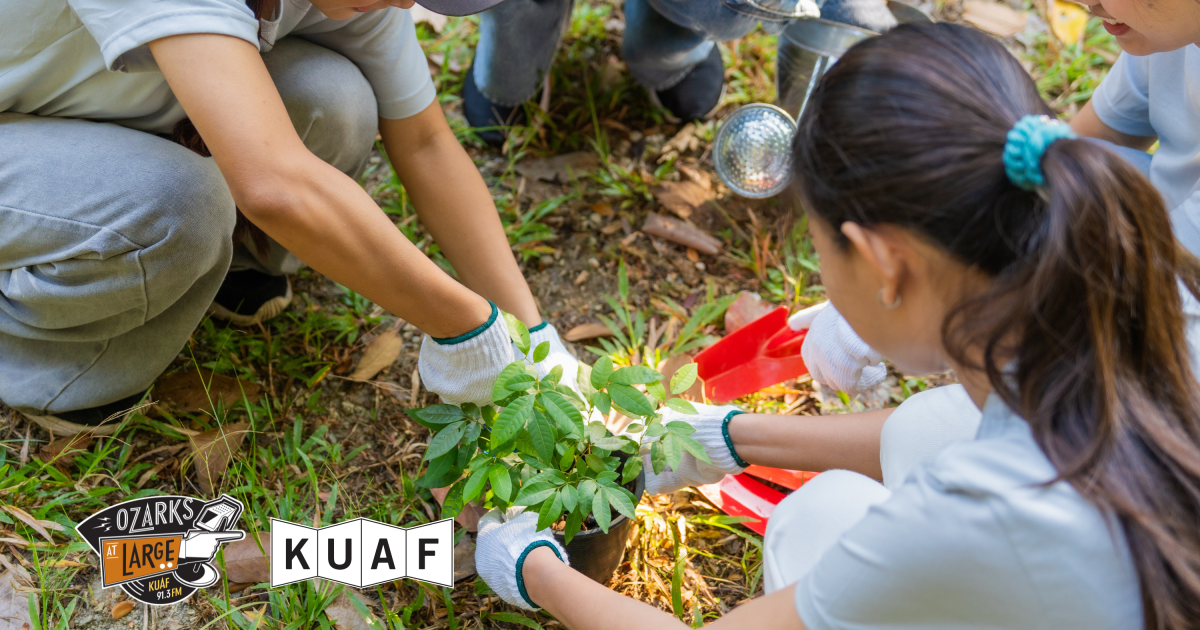 Ozark Society youth grants fund hands-on conservation projects