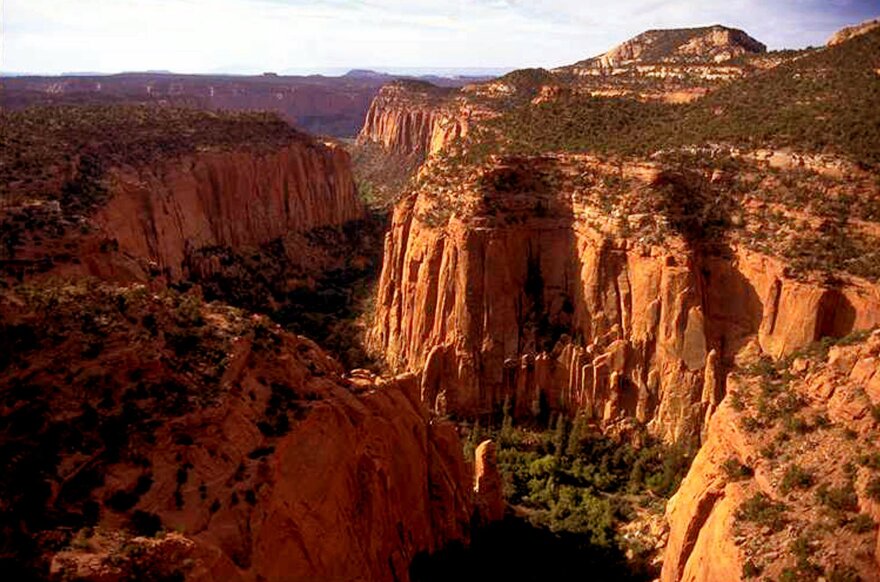 The Upper Gulch section of the Escalante Canyons within Grand Staircase-Escalante National Monument features sheer sandstone walls, broken occasionally by tributary canyons, shown in an undated photo. (AP Photo/Jerry Sintz)