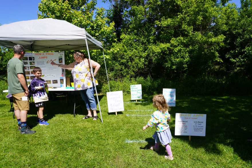 This table at Frog Fest demonstrates how far certain frogs can jump. White marks on the grass are meant to encourage children to try jumping as far as those frogs. 