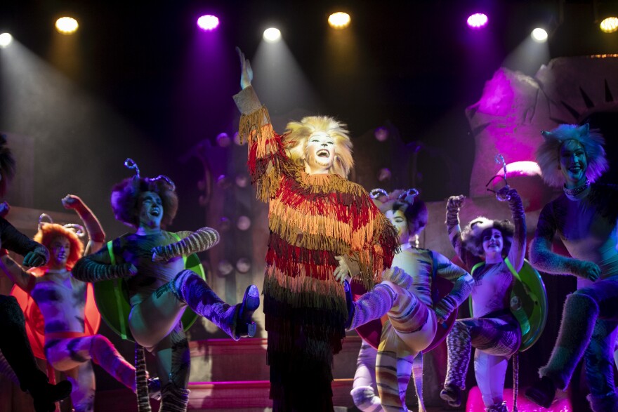Cast members of CATS perform during a dress rehearsal on Wednesday, Feb. 18, 2026, at Broadway Palm Dinner Theater in Fort Myers.