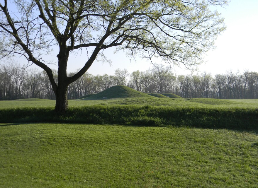 A series of earthen mounds covered in grass with a tree in the foreground. 