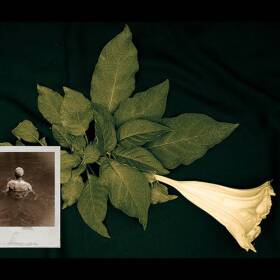 Onajide Shabaka, He bathed in the river's floral scent, 2020, Archival ink photographic print (edition of 5), 13.25 x 20 in.