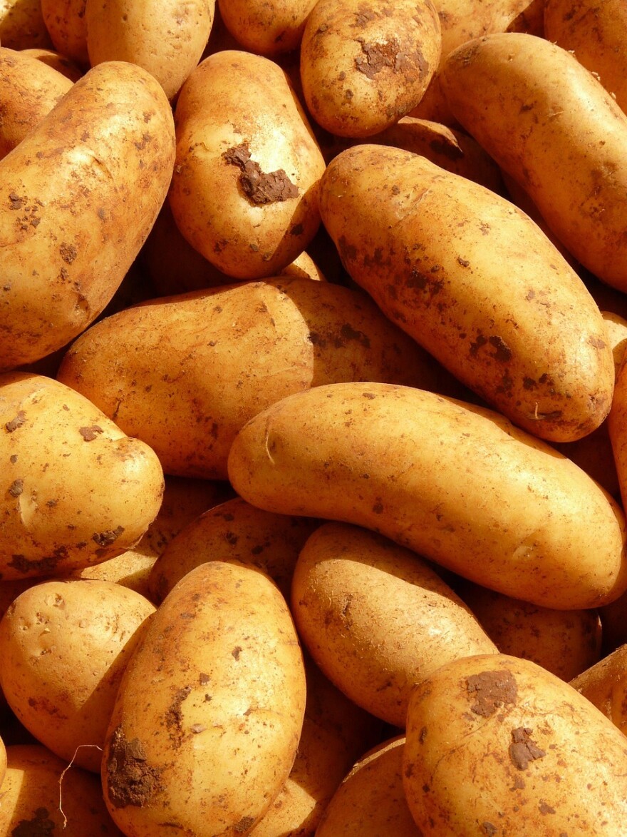A pile of potatoes