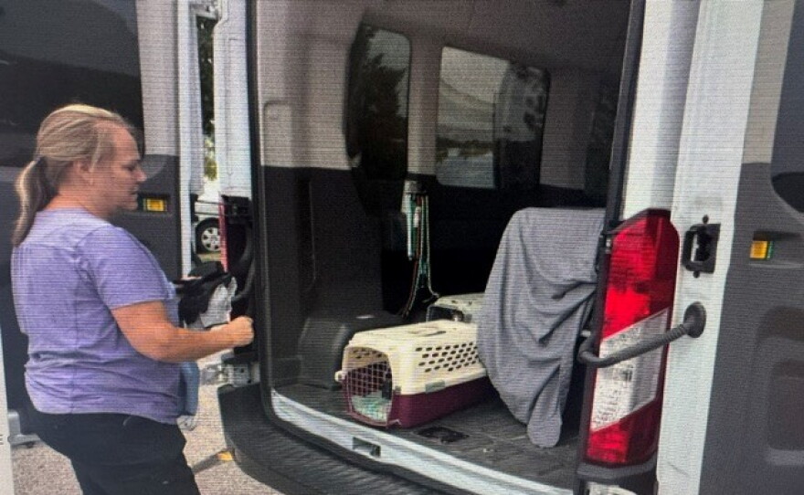 Ruff has a special van for transporting rescue animals.