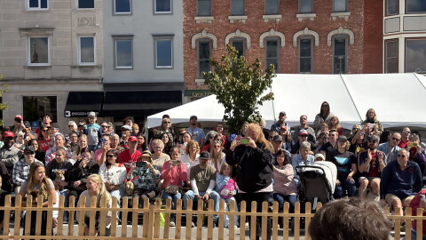 A dachshund races at Woosterfest's Wiener dog race. 