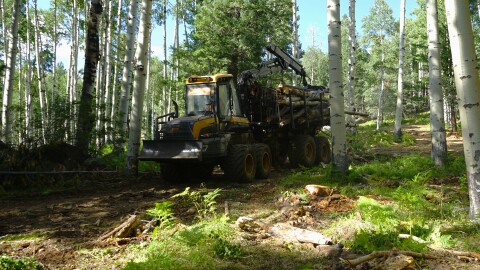 Keith Perkins of Perkins Natural Resources uses a Ponsse forwarder to pull dead and downed logs off the forest floor of the San Francisco Peaks, August 4, 2026.