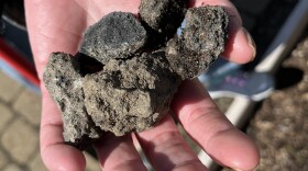 A handful of coal, unearthed from the garden.