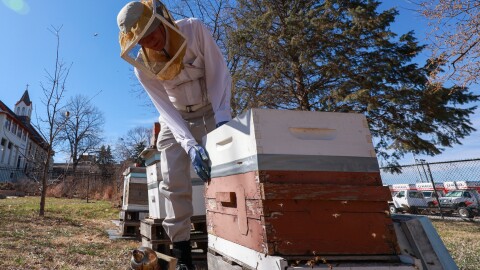 Beekeeper Mark Welsh checks on his bee hives in a community garden in Omaha, Nebraska, on March 9, 2026. Welsh lost nine of his hives last year during a widespread honeybee die-off.