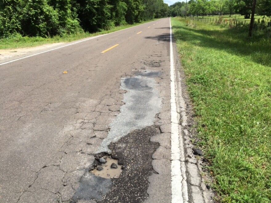 County Road 219A is a bumpy, winding road that runs through farmland in east Alachua County (Ian Cohen/WUFT News).