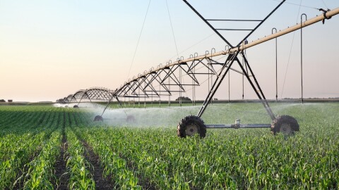 Image of farmland.  Nearly 70 million acres of US farmland could be contaminated by the toxic “forever chemicals” known as PFAS, according to the Environmental Working Group. (Adobe Stock)