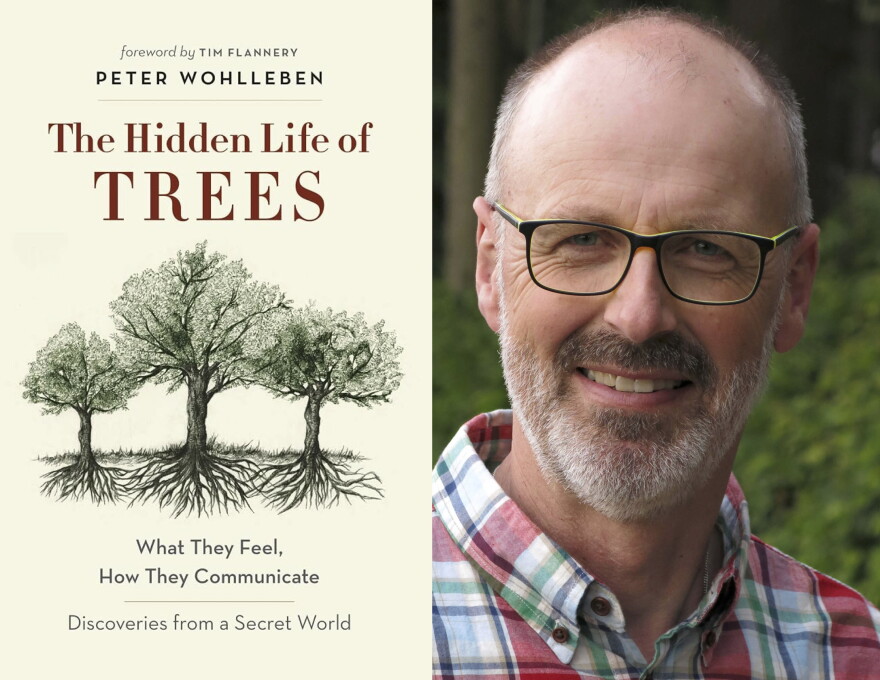 The Hidden Life of Tress author Pete Wohlleben