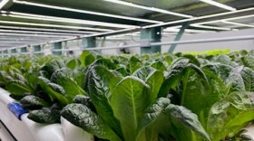 o2 Urban Farms