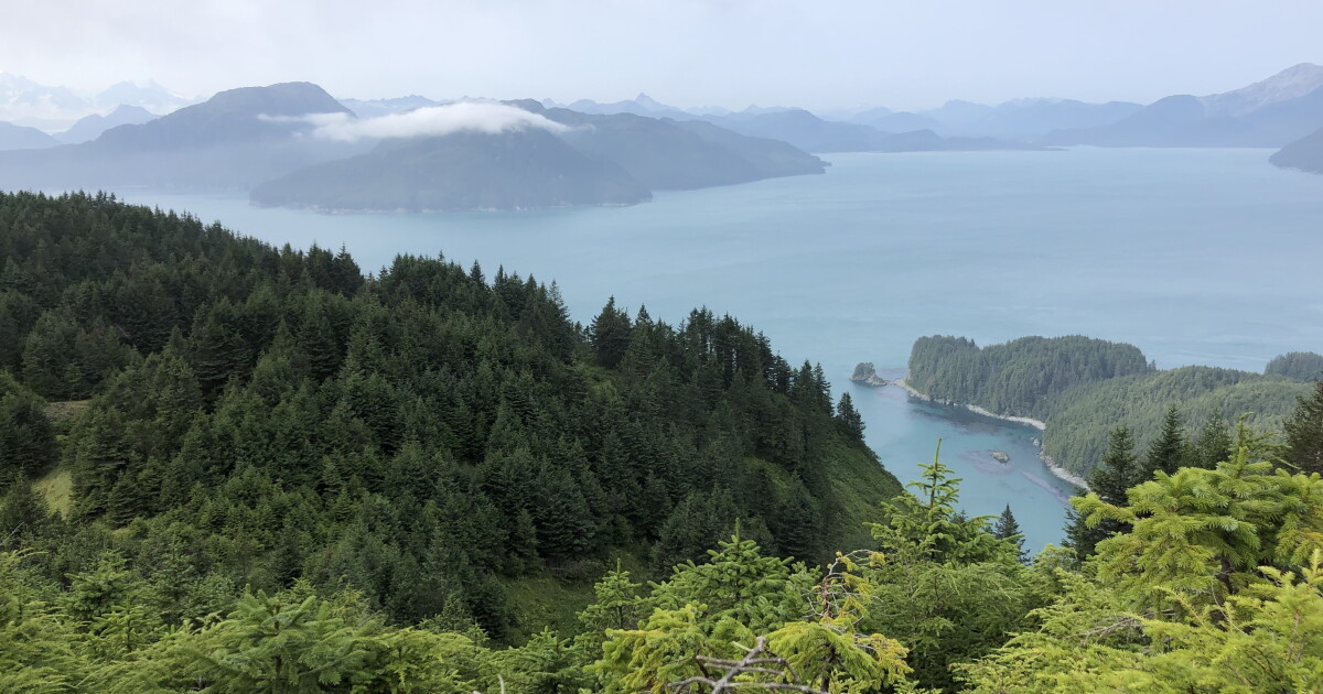 In Alaska's Wilderness, A New Vision Of Higher Learning