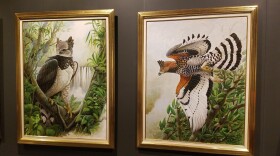 Two of John Ruthven's eagle series, on loan from Northern Kentucky University.