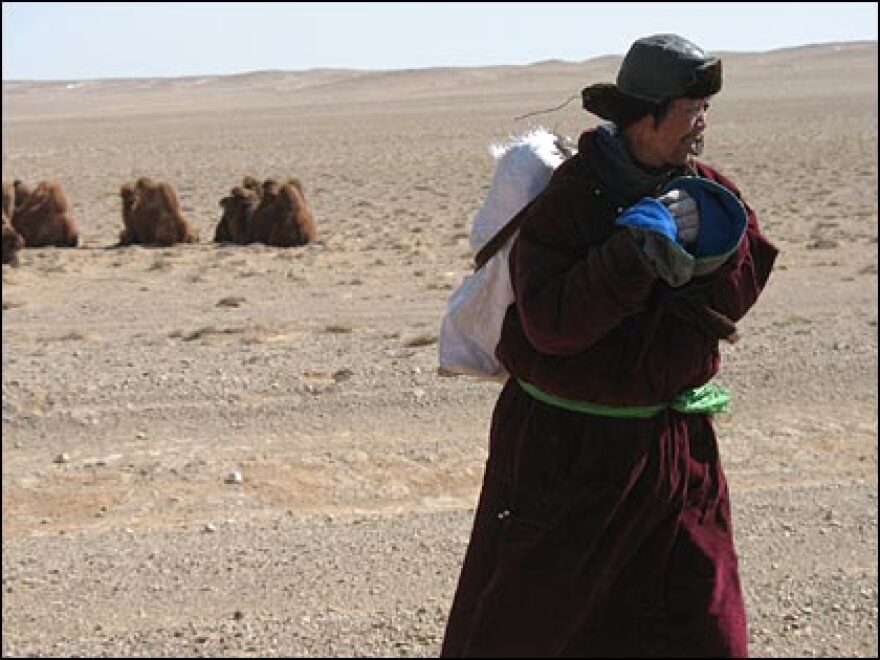 A nomadic herder waits for a ride to a nearby village in the dry steppe of central Mongolia.