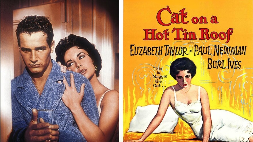 Cat On A Hot Tin Roof 