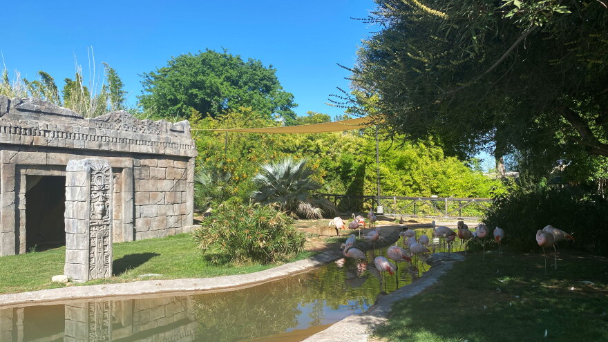 reid park zoo 3