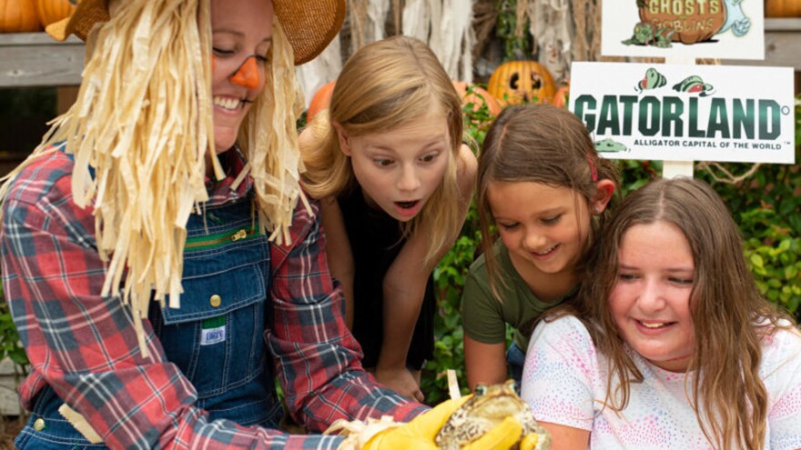 gatorland gators ghost goblins - central florida halloween event guide