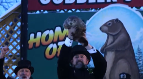Photo of Punxsutawney Phil at Gobler’s Knob.