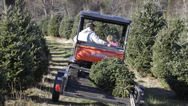 Bobby Maines, left, rides with his grand-daughter, Alyssia Maines, 6, right, as they carry a Christmas tree for a customer at Maines Tree Farm in Glade Valley, N.C., Friday, Dec. 2, 2011