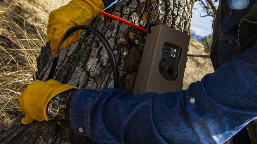 Trail camera