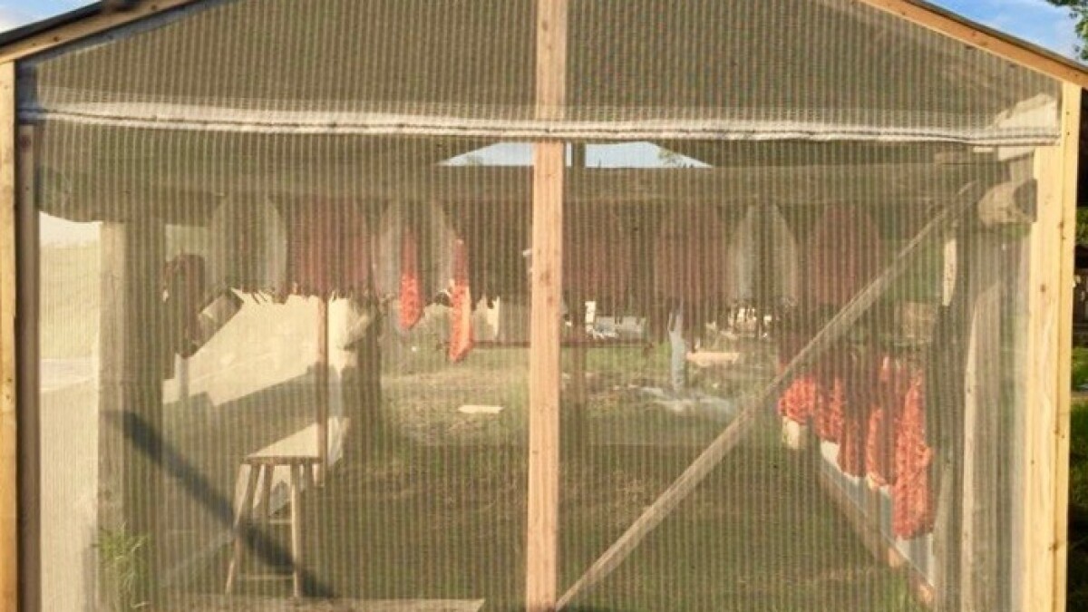 Drying Fish And Having Trouble With Flies? A Local Biologist Wants To Help.