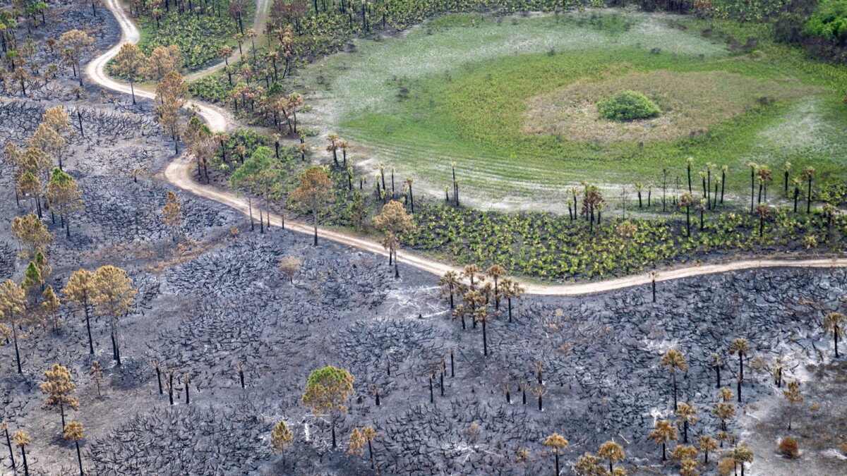 Big Cypress National Preserve issues temporary area closure for Kirby A & B prescribed fire - Vimarsana News