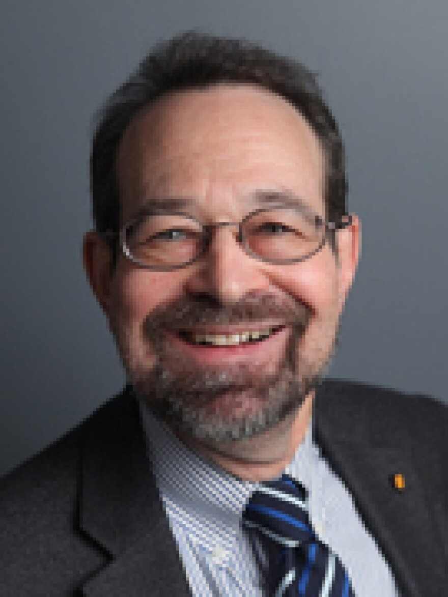 Stephen S. Morse is an infectious disease epidemiologist at the Columbia University Mailman School of Public Health.