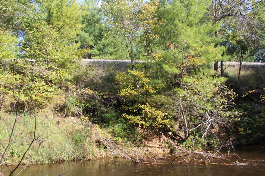 Several trees just below the train tracks have fallen into the river because the soil underneath eroded away.